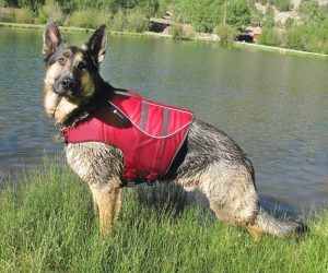 Dog Life Vest Jacket - K9 Life Preserver
